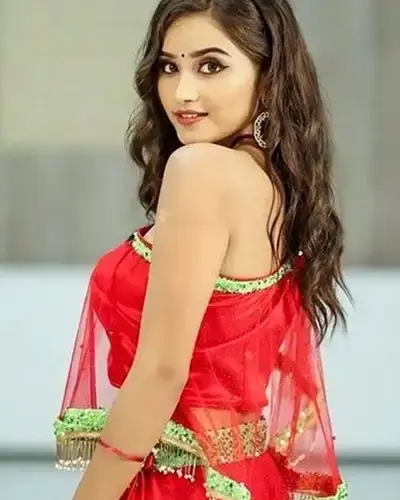 Call Girls Service Sakti